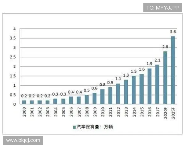 北京网球队灵活性分析与表现评估的综合研究报告