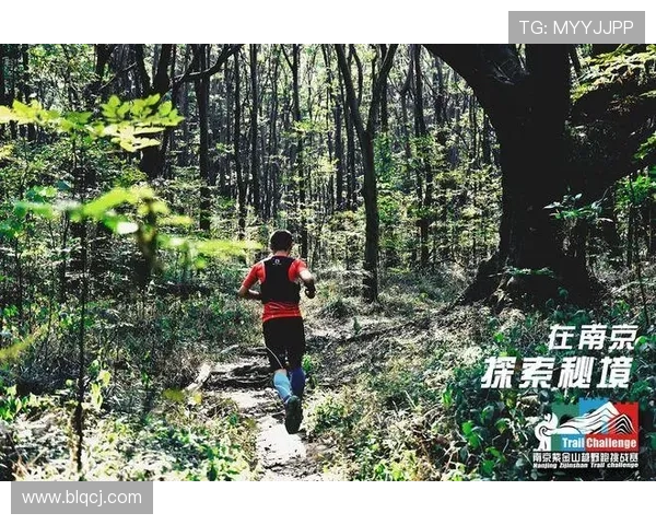 南京羽毛球队挑战赛特别报道：从默默无闻到全国强队的成长历程