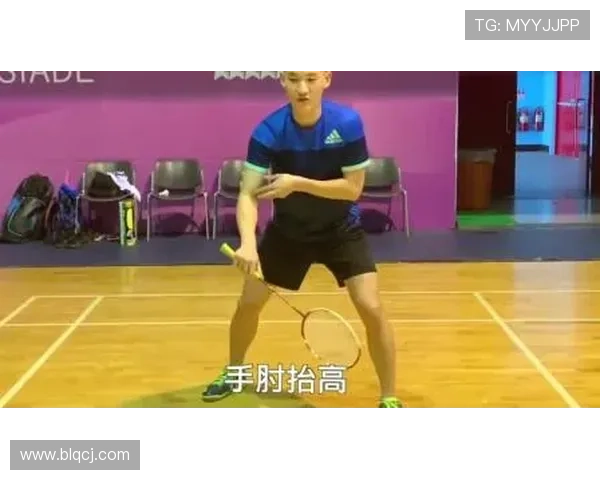 南京羽毛球队区域防守战术解析与实战应用探讨